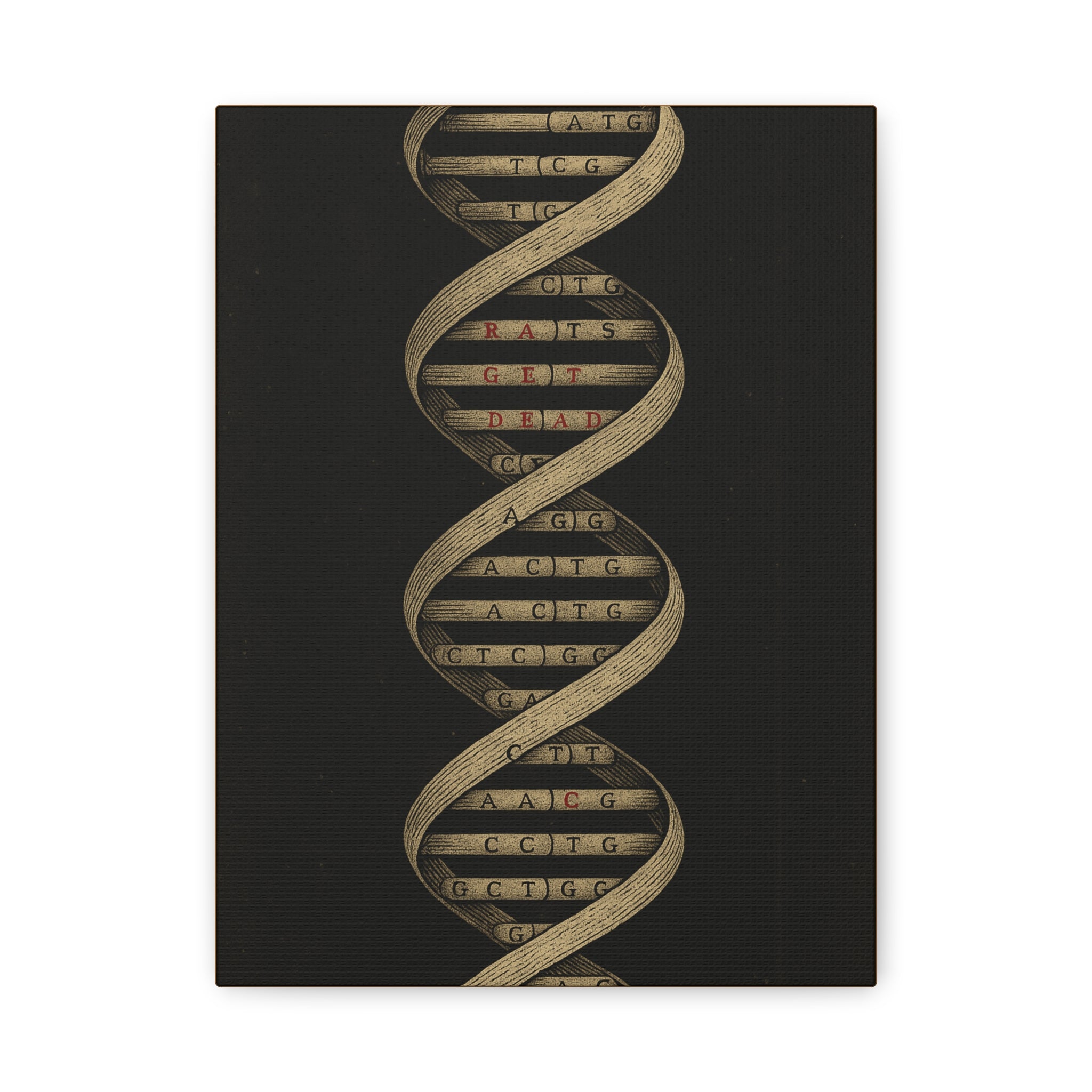 DNA Strand Matte Canvas Wall Art