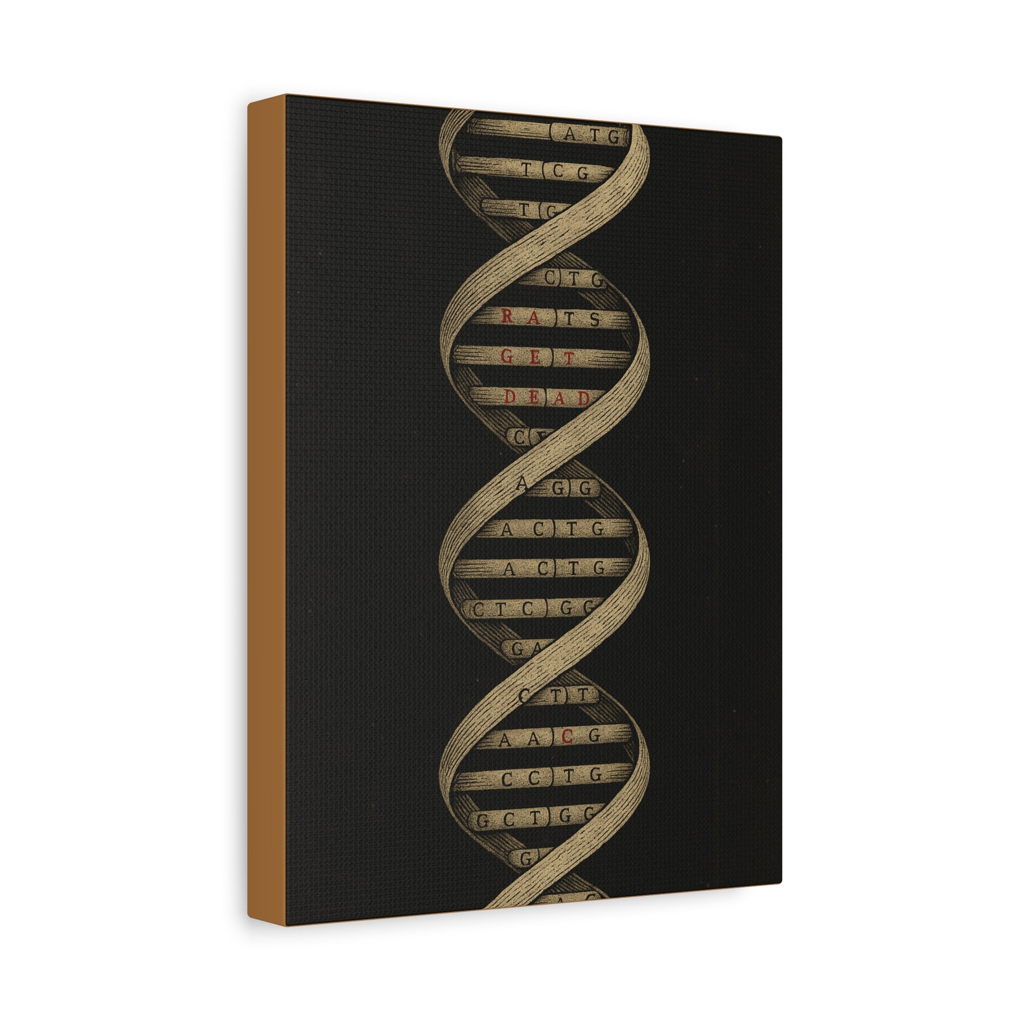 DNA Strand Matte Canvas Wall Art